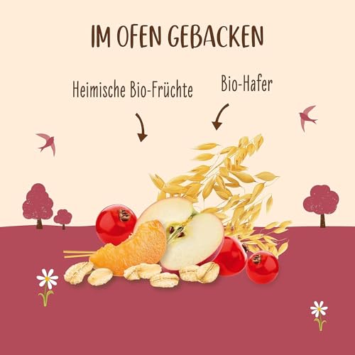 allos-hafer-flapjack-landfr-chte-bio-riegel-16-x-50-g image 8