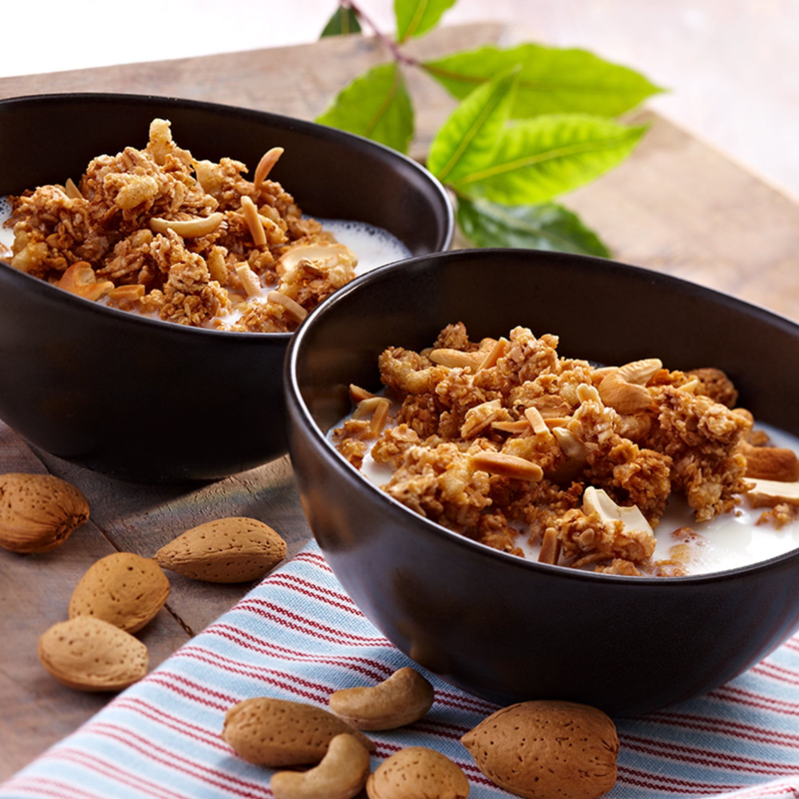 barnhouse-krunchy-dinkel-nuss-mit-amaranth-bio image 4