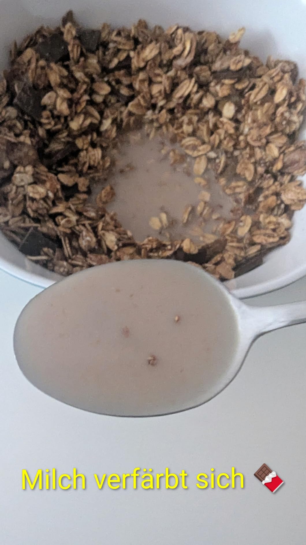 Bestes Schoko-Granola