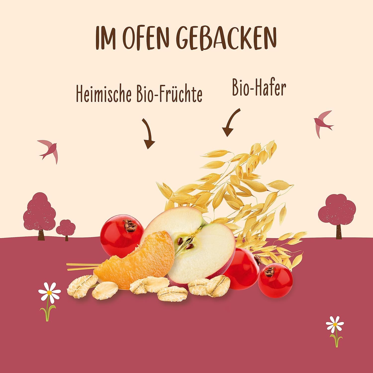 allos-hafer-flapjack-landfr-chte-bio-riegel-16-x-50-g image 2