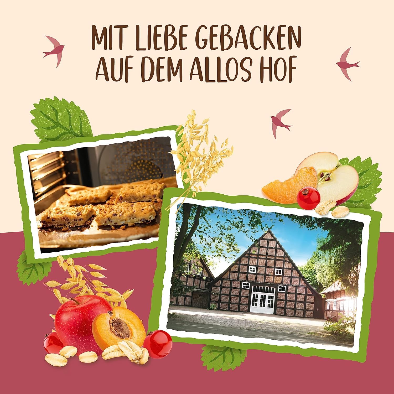 allos-hafer-flapjack-landfr-chte-bio-riegel-16-x-50-g image 5